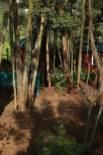 Others 2, The Den by Trees, The Nilgiris