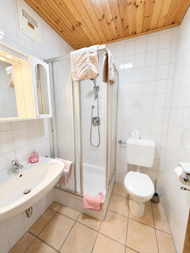 Bathroom 2, Feistritzer, Spittal an der Drau