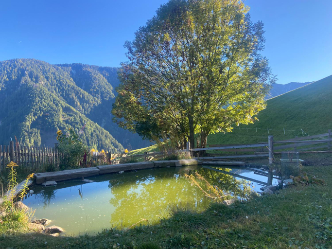 Others 3, Knappnhof, Bolzano