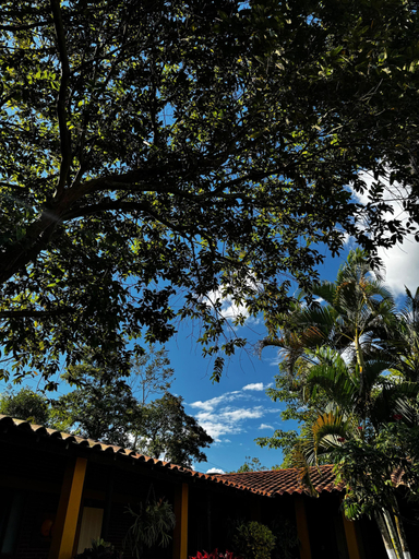 Property grounds 3, Hotel Aramat Heliconias, La Tebaida