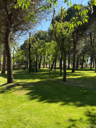 Others 2, New Campsite in Camping Ca' Savio, Venezia