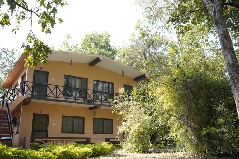 Primary image
