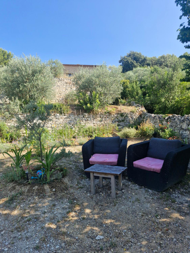 Others 5, Le jardin des oliviers, Vaucluse