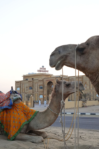 Miscellaneous, Desert  Crown Resort, Jaisalmer