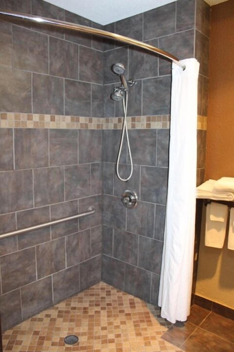 Bathroom 5, AmericInn by Wyndham Holland MI, Ottawa