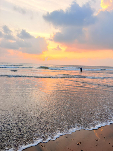 Others 3, SAI HOMESTAY, South Goa