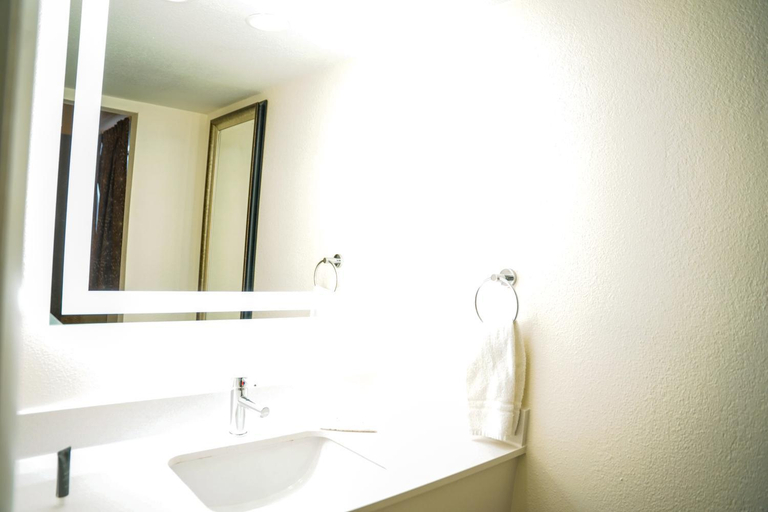 Bathroom 3, Horizon Inn And Suites Norcross, Gwinnett