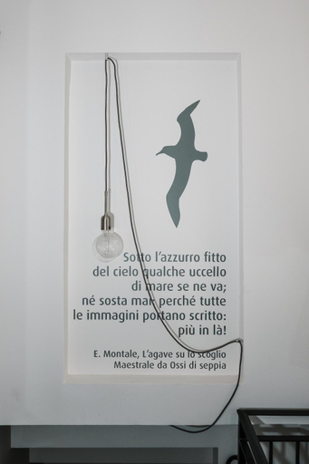 Others 5, Dimora Marinucci, Campobasso