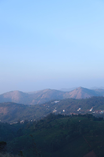 Others 5, The Den by Trees, The Nilgiris