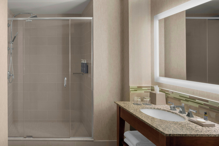 Bathroom 5, The Westin Minneapolis, Hennepin