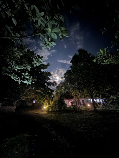 Others 3, Tangkoko Jungle Homestay, Bitung