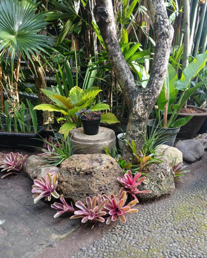 Others 5, Gerhana Sari 2 Bungalows, Gianyar