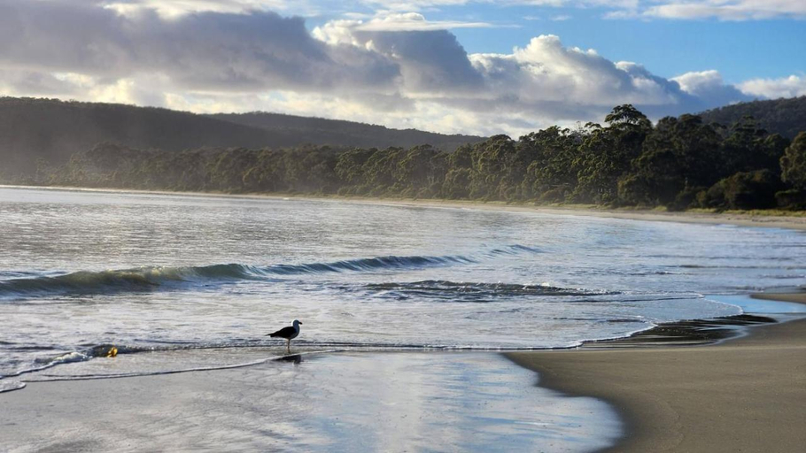 Others 3, Bruny Island Holiday Park Adventure Bay, Kingborough