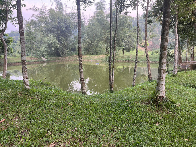 Others 4, Litchibari Eco Resort, Moulvibazar
