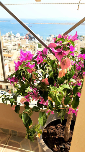 Others 5, Skyline Vista - Sea View Apartment - Free Parking, Attica