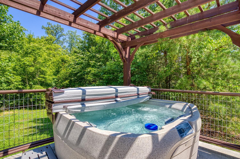 Sport & Beauty 5, Bear Hugs, Free Tickets, Hot Tub, WIFI!!!, Sevier