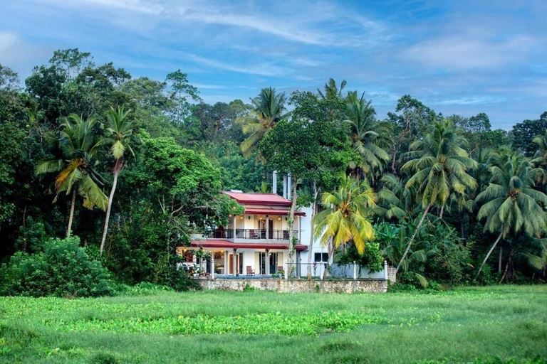 Exterior 2, Wild Inn Unawatuna, Akmeemana