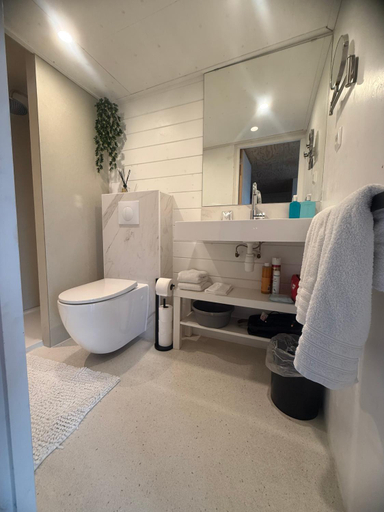 Bathroom 3, R&M Boutique, Haarlemmermeer