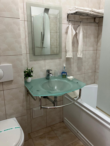 Bathroom 3, Pensiunea Cetatea Craiului, Rasnov
