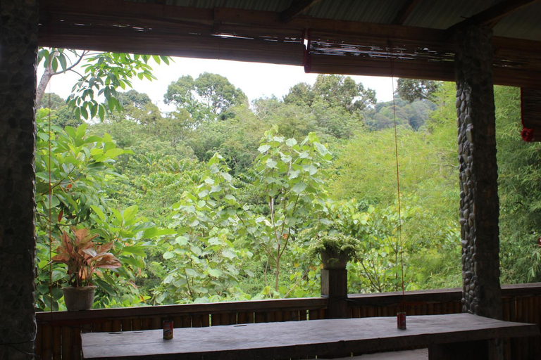 Food & Drinks 4, Bukit Lawang Backpacker JungleTrekking Only Booking with us, Langkat