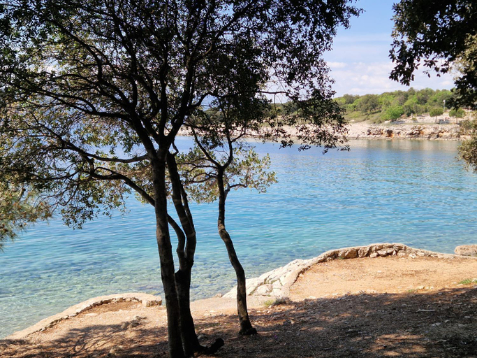 Others 4, Terrace 50, Krk