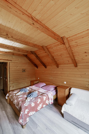 Bedroom 2, Gostynniy Dvir Raytshtoky, Nadvirnians'kyi