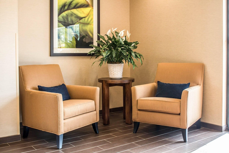 Public Area 3, Comfort Suites Hartville - North Canton, Stark
