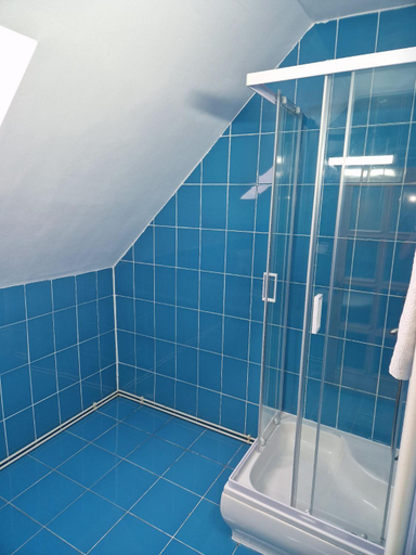 Bathroom 2, Casa Flavius, Valiug