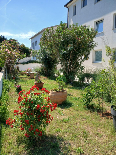 Others 4, Apartment Premantura, Premantura