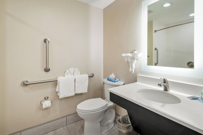 Bathroom 3, English Inn of Charlottesville, Charlottesville