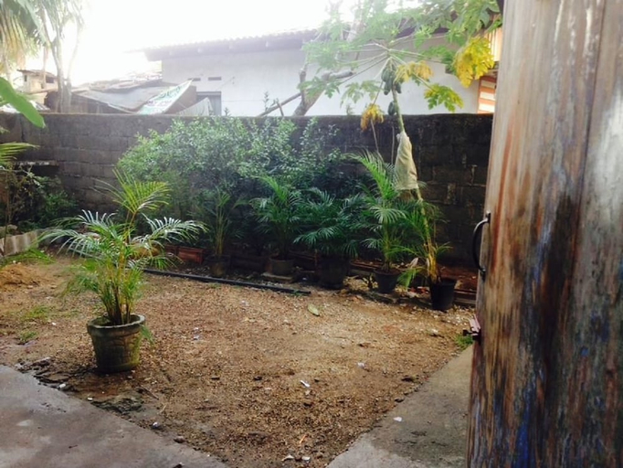Others 5, Villahredpalm, Galle Four Gravets