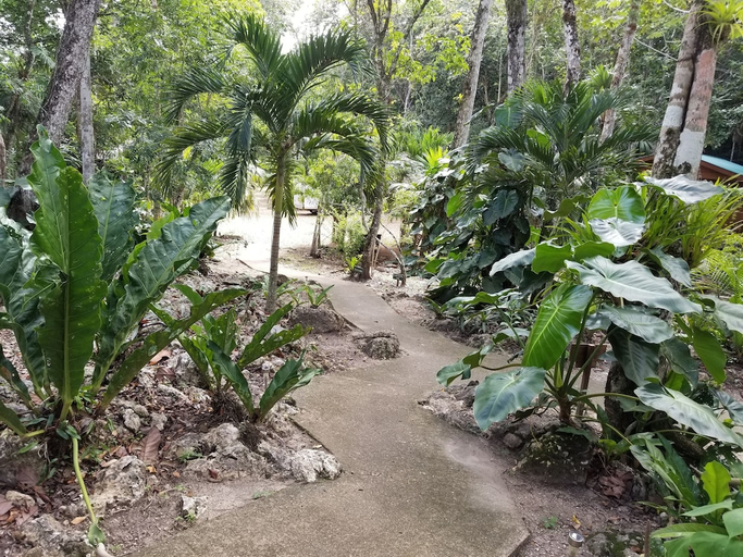Others 5, Mariposa Jungle Lodge