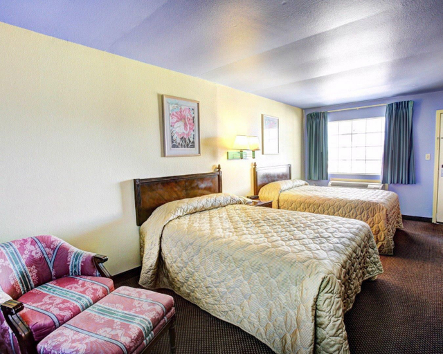 Bedroom 5, Nites Inn, Bell