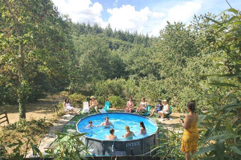 Sport & Beauty 4, La Clef De Voute Amethyste, Allier