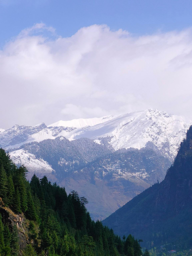 Others 5, The Wanderlust Hotel, Kullu