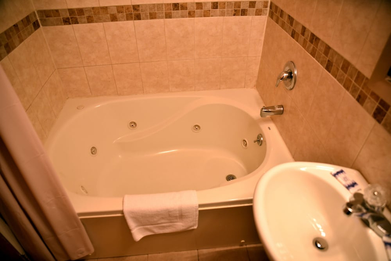 Bathroom, Swan Motel, Union