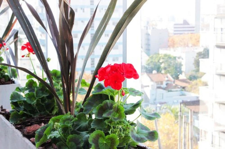Others 2, Hotel Master Suite Devoto, Distrito Federal