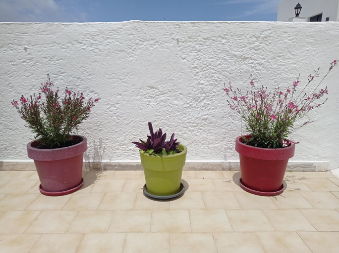 Others 5, IASONAS APARTMENTS, South Aegean