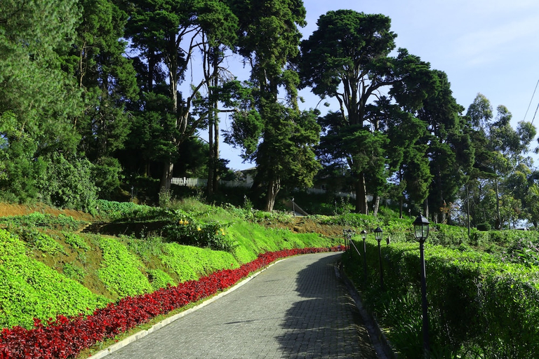 Others 1, The Firs, Nuwara Eliya
