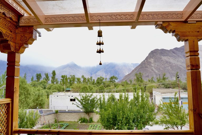 Others 5, Lavender House, Leh