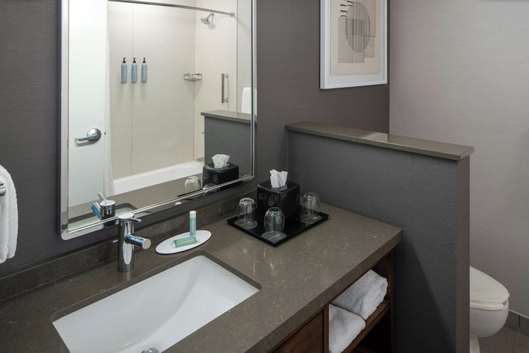 Bathroom 4, Courtyard Texarkana, Bowie