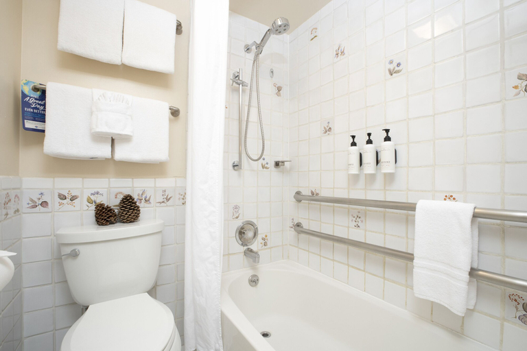 Bathroom 3, Olympic Village Inn, Placer