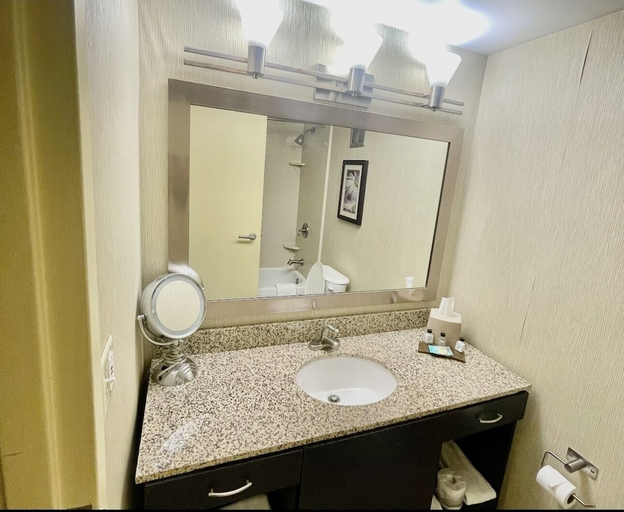 Bathroom, Brandywine Plaza Hotel, New Castle