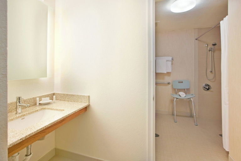 Bathroom 4, Residence Inn Austin Round Rock, Williamson