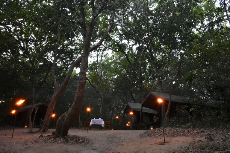 Others 5, Explorer by Eco Team - Kumana National Park, Lahugala