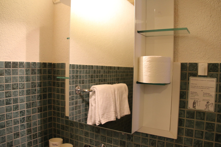 Bathroom 3, Hotel Minster, Schwyz