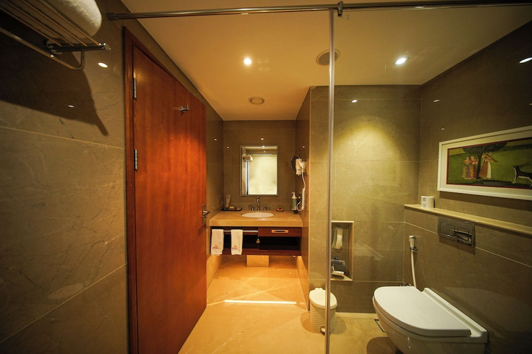 Bathroom 4, Pride Hotel Udaipur, Udaipur