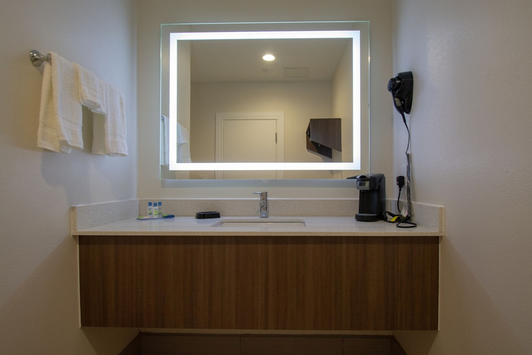 Bathroom 3, Palace Inn El Paso, El Paso