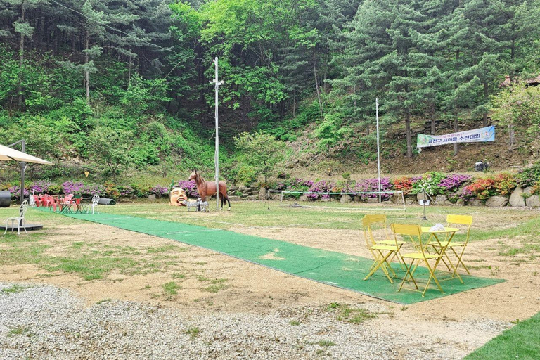 Others 3, Wonju Forest Dome, Wonju