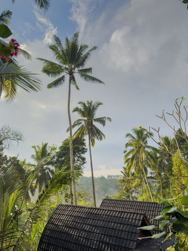View from property 4, Ayung Melasti, Badung
